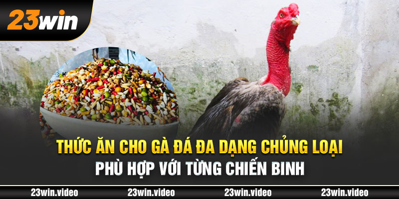 Thức ăn cho gà đá đa dạng chủng loại phù hợp với từng chiến binh