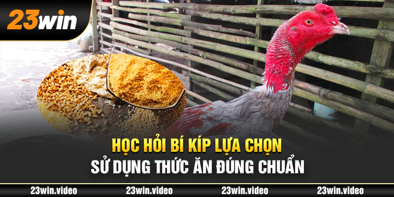 Học hỏi bí kíp lựa chọn, sử dụng thức ăn đúng chuẩn