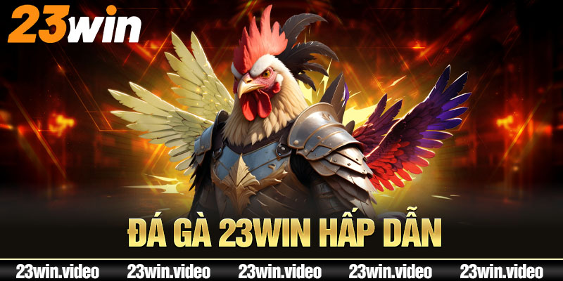 Đá gà 23win hấp dẫn