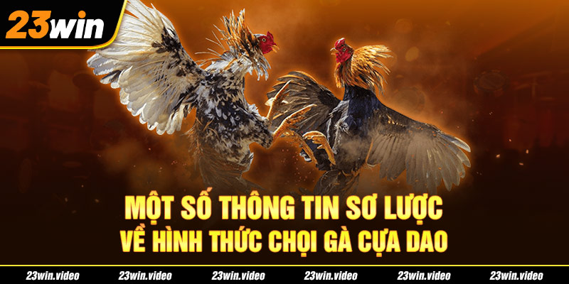 Một số thông tin sơ lược về hình thức chọi gà cựa dao